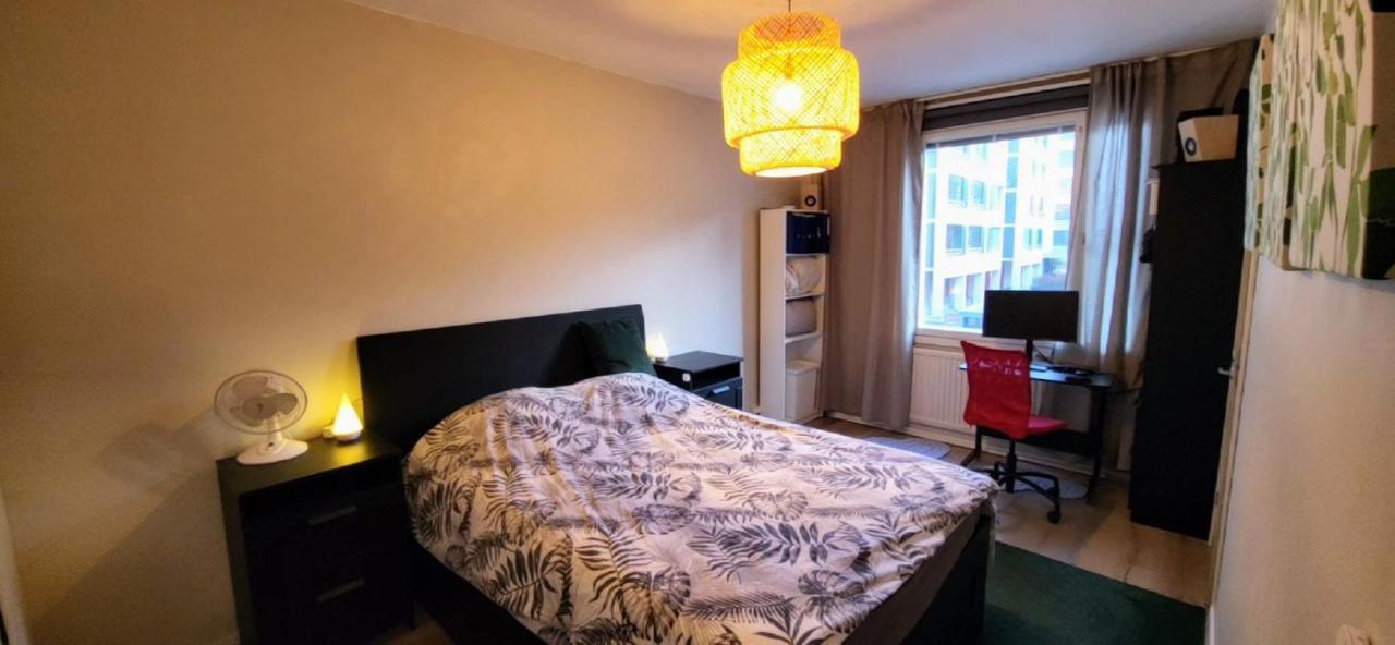 Cosy Big 2 Apartment